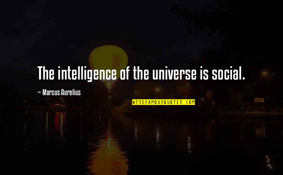 Colton Dixon Song Quotes By Marcus Aurelius: The intelligence of the universe is social.