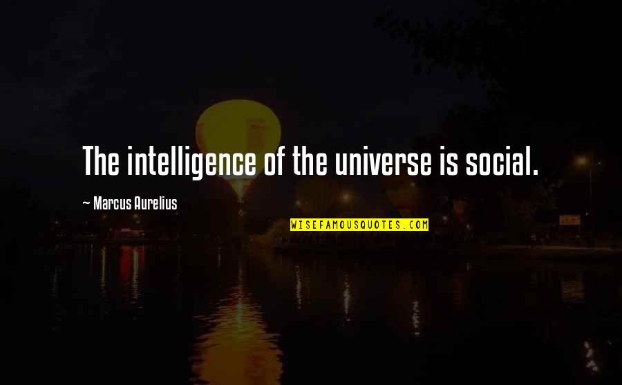 Colton Dixon Song Quotes By Marcus Aurelius: The intelligence of the universe is social. Colton Dixon Song Quotes By Marcus Aurelius: The intelligence of the universe is social.