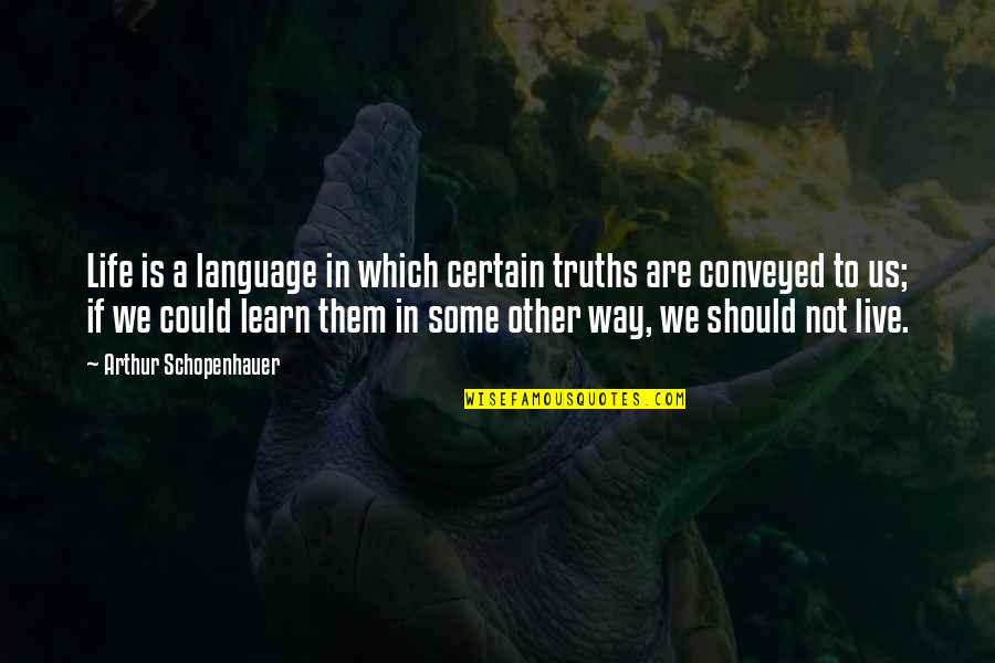 Coluldn't Quotes By Arthur Schopenhauer: Life is a language in which certain truths