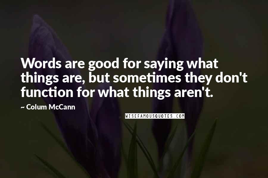 Colum McCann quotes: Words are good for saying what things are, but sometimes they don't function for what things aren't.