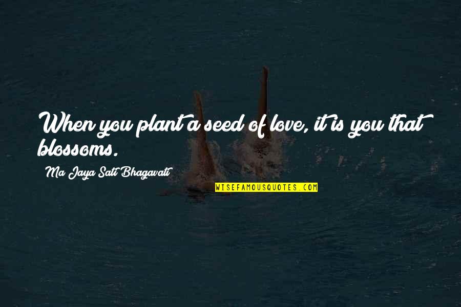 Columban Quotes By Ma Jaya Sati Bhagavati: When you plant a seed of love, it Columban Quotes By Ma Jaya Sati Bhagavati: When you plant a seed of love, it