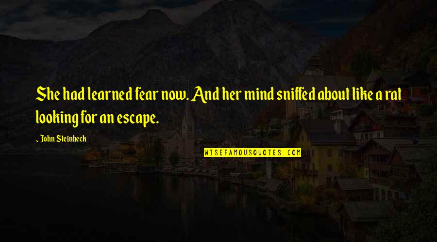 Columbian Exchange Trade Quotes By John Steinbeck: She had learned fear now. And her mind