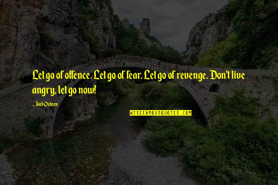 Columbo Negative Reaction Quotes By Joel Osteen: Let go of offence. Let go of fear.