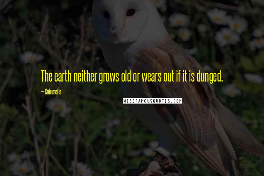 Columella quotes: The earth neither grows old or wears out if it is dunged.