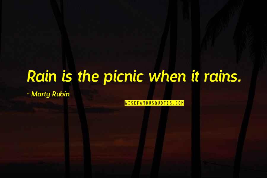 Columned Quotes By Marty Rubin: Rain is the picnic when it rains.