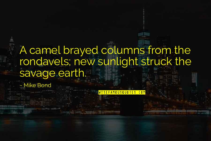 Columns Quotes By Mike Bond: A camel brayed columns from the rondavels; new