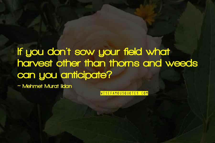 Colvett Car Quotes By Mehmet Murat Ildan: If you don't sow your field what harvest