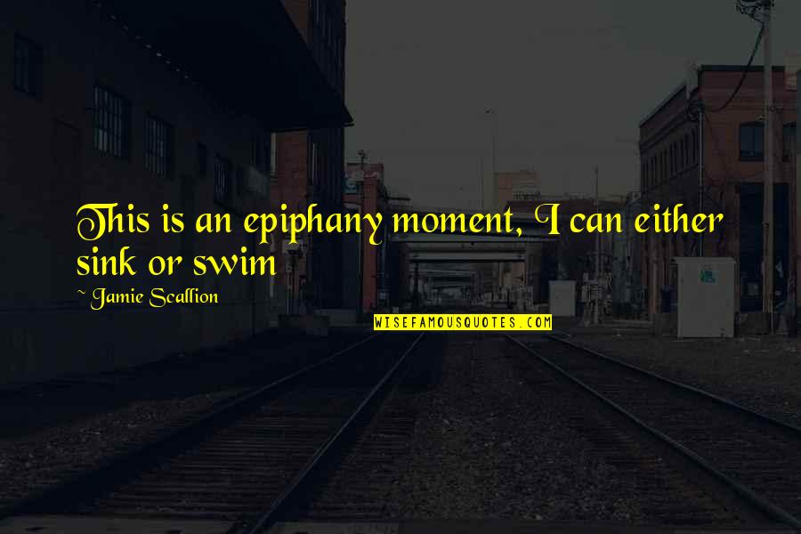 Combinacion De Correspondencia Quotes By Jamie Scallion: This is an epiphany moment, I can either