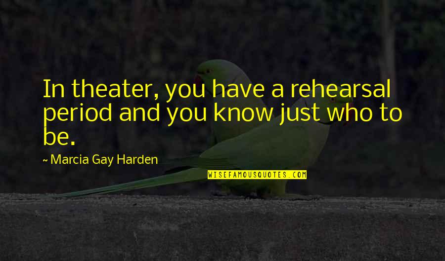 Combinado Del Quotes By Marcia Gay Harden: In theater, you have a rehearsal period and