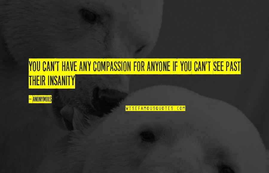 Combination Lock Quotes By Anonymous: You can't have any compassion for anyone if