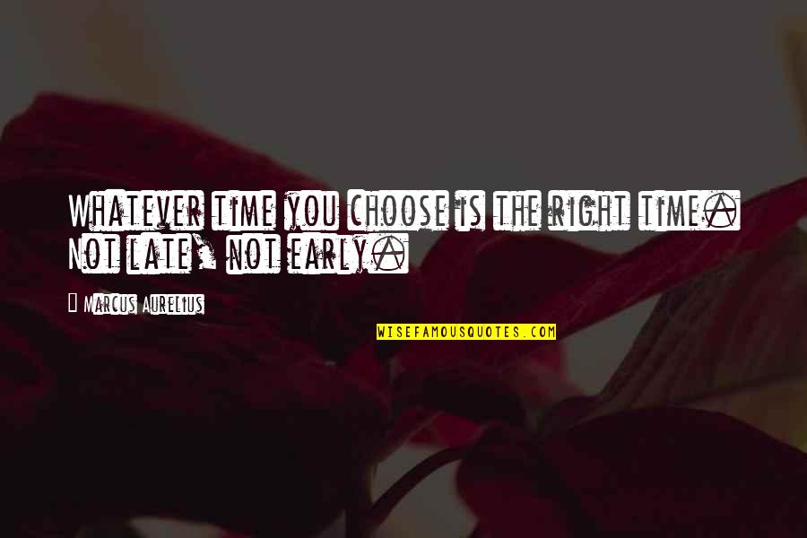 Combobulated Quotes By Marcus Aurelius: Whatever time you choose is the right time.