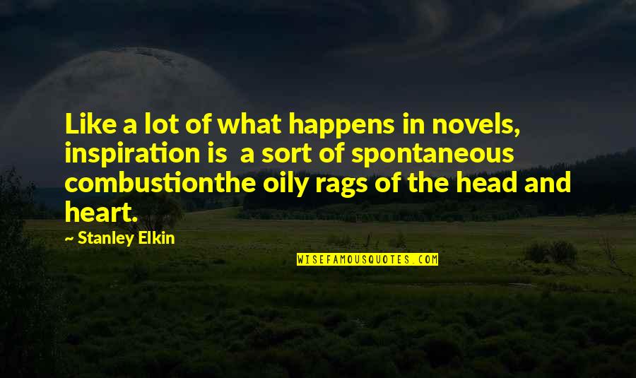 Combustion Quotes By Stanley Elkin: Like a lot of what happens in novels,