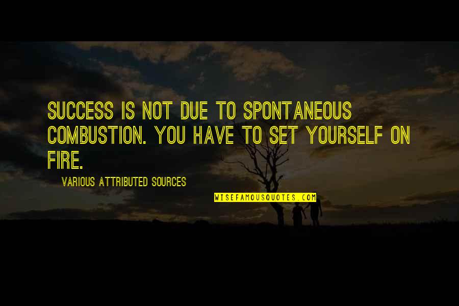 Combustion Quotes By Various Attributed Sources: Success is not due to spontaneous combustion. You