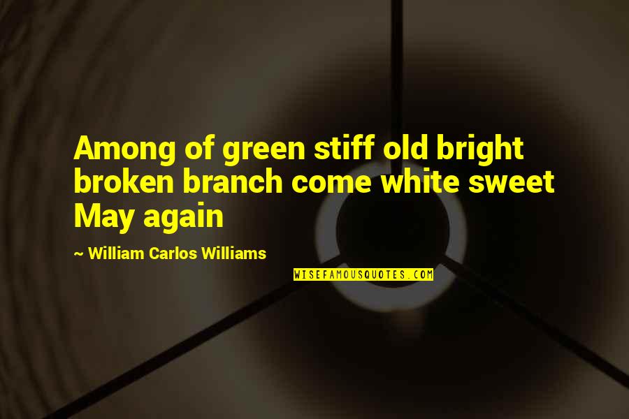 Come Again Quotes By William Carlos Williams: Among of green stiff old bright broken branch