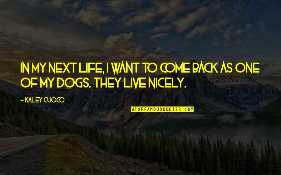 Come Back In Life Quotes By Kaley Cuoco: In my next life, I want to come