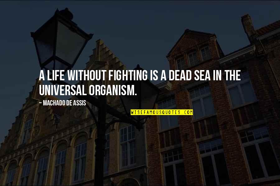 Come Back To Me Please Quotes By Machado De Assis: A life without fighting is a dead sea