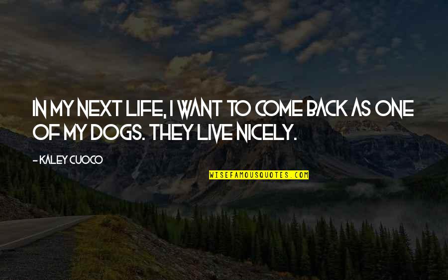 Come Back To My Life Quotes By Kaley Cuoco: In my next life, I want to come