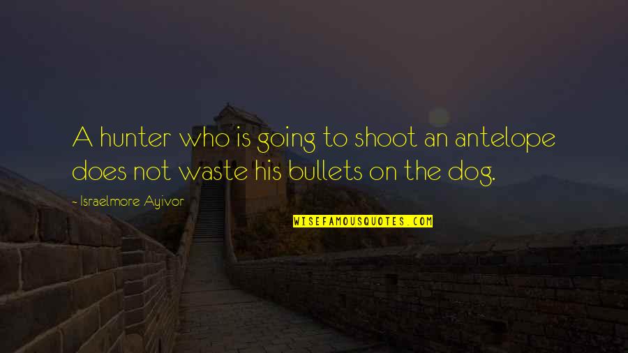 Come Up Smelling Of Roses Quotes By Israelmore Ayivor: A hunter who is going to shoot an Come Up Smelling Of Roses Quotes By Israelmore Ayivor: A hunter who is going to shoot an