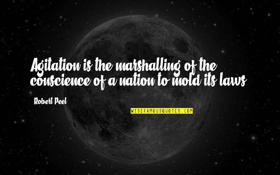 Comeback Breakup Quotes By Robert Peel: Agitation is the marshalling of the conscience of