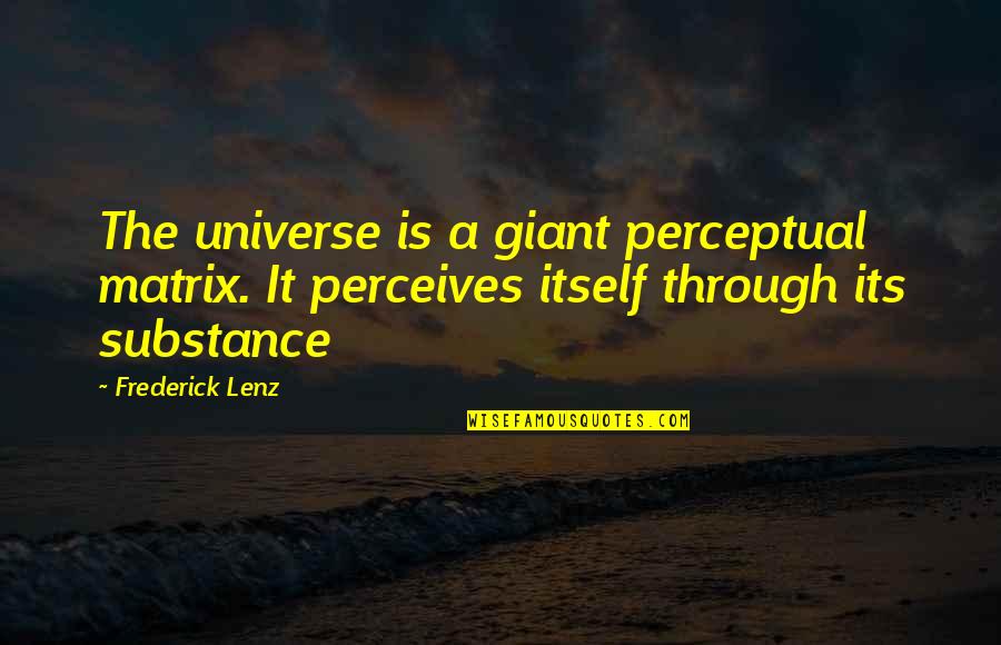 Comedian Dan Cummins Quotes By Frederick Lenz: The universe is a giant perceptual matrix. It