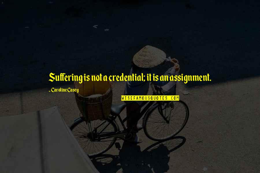 Comentando Las Noticias Quotes By Caroline Casey: Suffering is not a credential; it is an