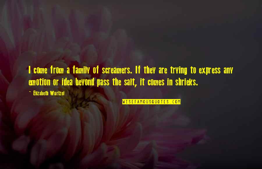 Comes To Pass Quotes By Elizabeth Wurtzel: I come from a family of screamers. If