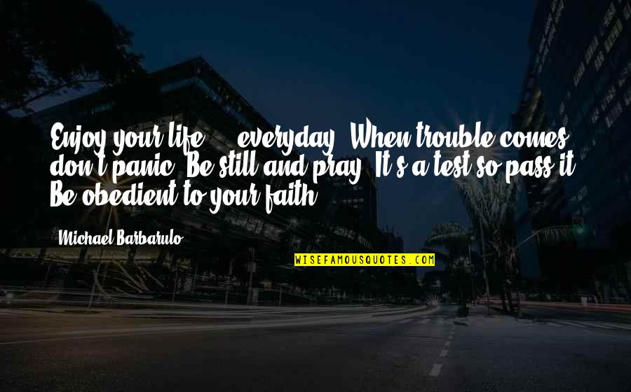 Comes To Pass Quotes By Michael Barbarulo: Enjoy your life ... everyday. When trouble comes