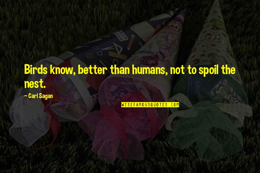 Comet Quotes By Carl Sagan: Birds know, better than humans, not to spoil