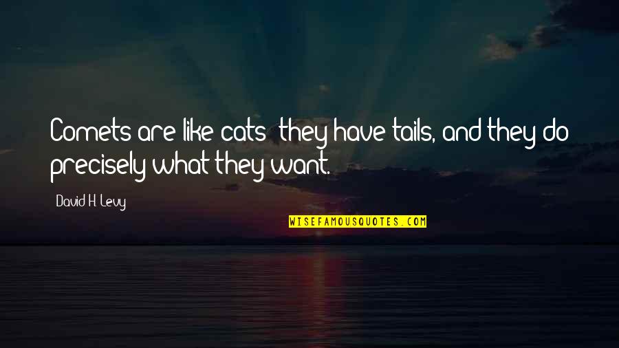 Comets Quotes By David H. Levy: Comets are like cats: they have tails, and