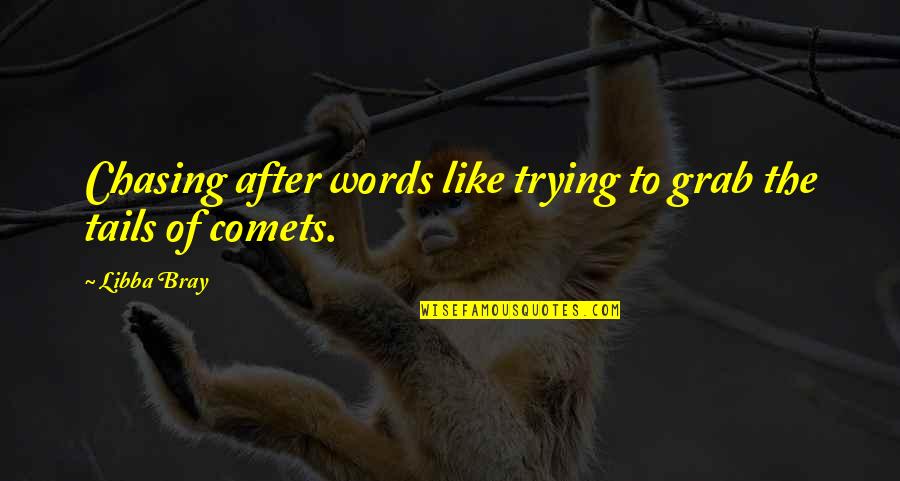 Comets Quotes By Libba Bray: Chasing after words like trying to grab the