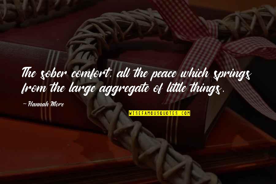 Comfort And Peace Quotes By Hannah More: The sober comfort, all the peace which springs