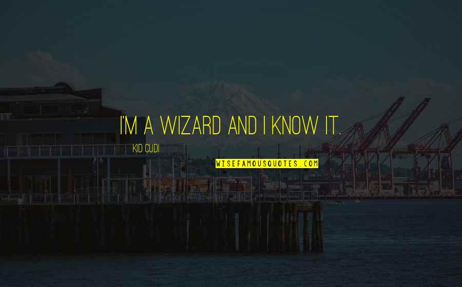 Comfy Fashion Quotes By Kid Cudi: I'm a wizard and I know it.