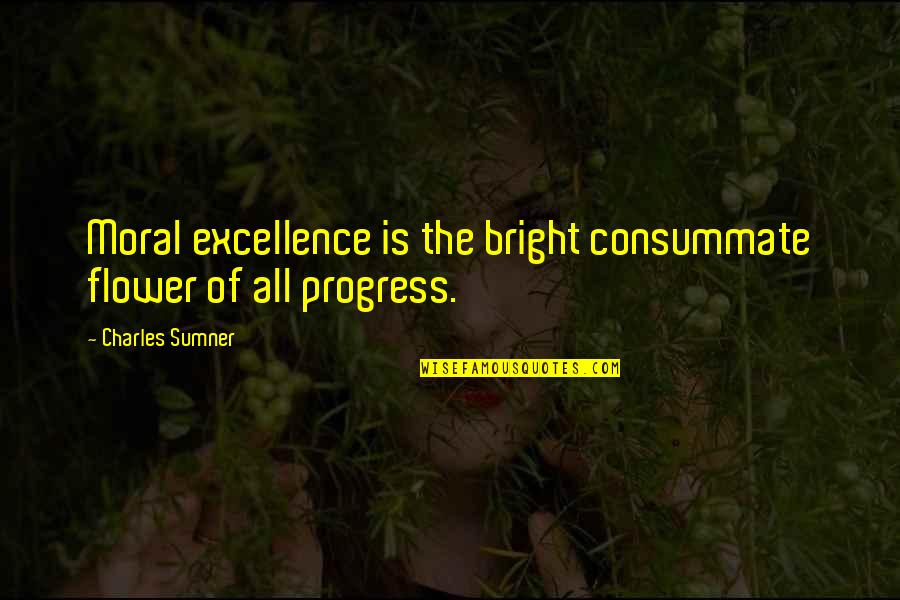 Comic Wise Quotes By Charles Sumner: Moral excellence is the bright consummate flower of