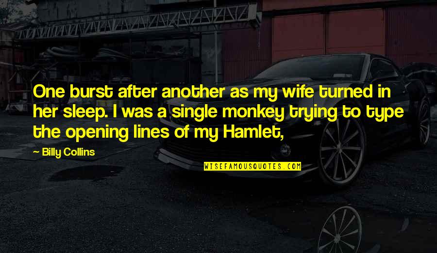 Comienzos Quotes By Billy Collins: One burst after another as my wife turned