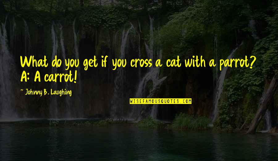 Comienzos Quotes By Johnny B. Laughing: What do you get if you cross a