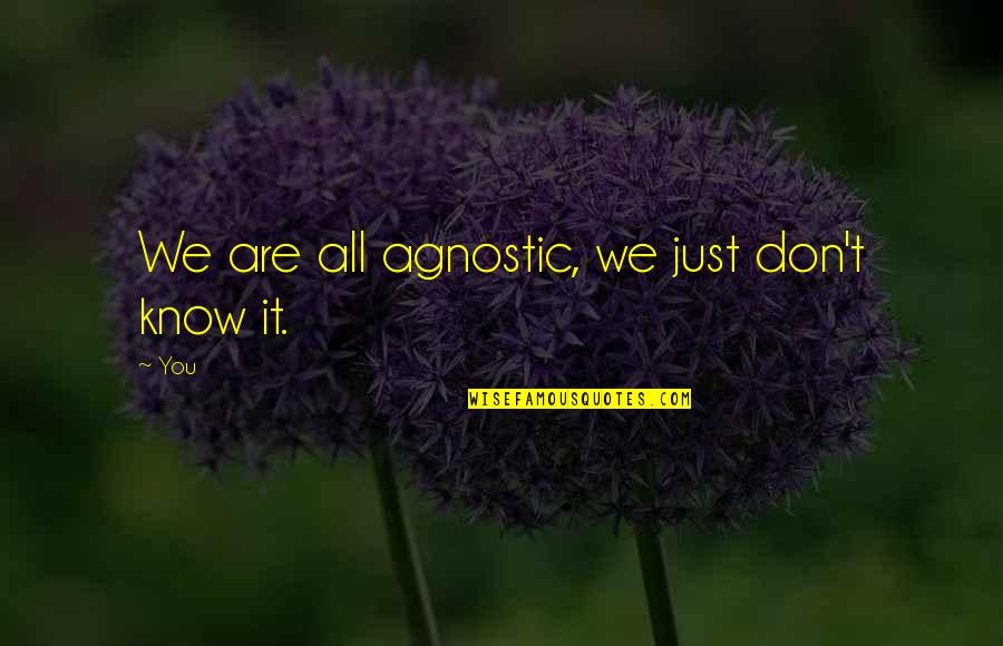 Coming Back From A Sports Injury Quotes By You: We are all agnostic, we just don't know