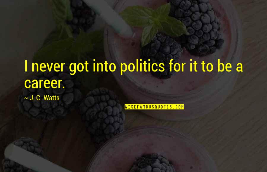 Coming From The Bottom To The Top Quotes By J. C. Watts: I never got into politics for it to Coming From The Bottom To The Top Quotes By J. C. Watts: I never got into politics for it to