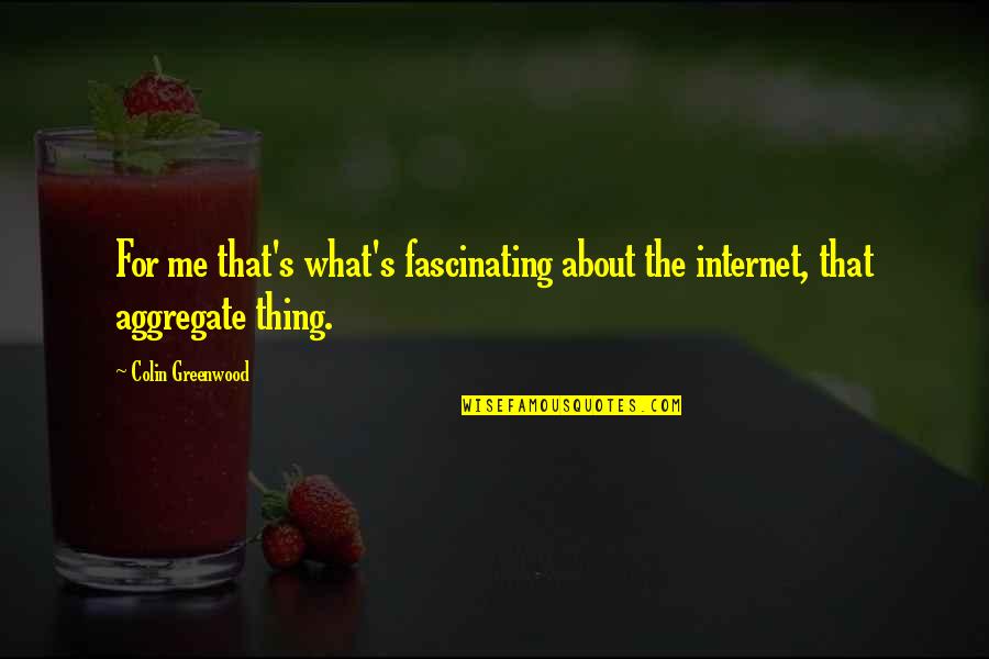 Coming Home To Friends Quotes By Colin Greenwood: For me that's what's fascinating about the internet,