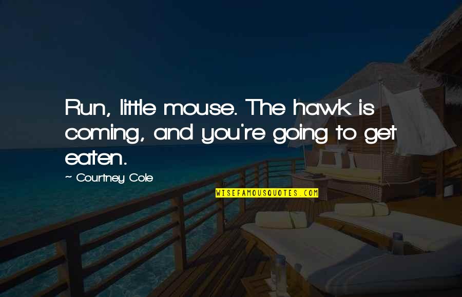 Coming Into My Own Quotes By Courtney Cole: Run, little mouse. The hawk is coming, and
