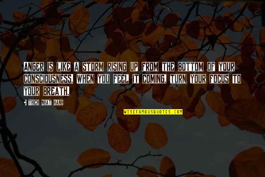 Coming Out Of The Storm Quotes By Thich Nhat Hanh: Anger is like a storm rising up from Coming Out Of The Storm Quotes By Thich Nhat Hanh: Anger is like a storm rising up from