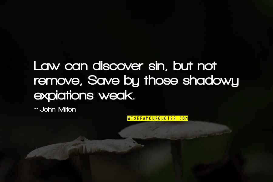 Comino Otto Quotes By John Milton: Law can discover sin, but not remove, Save