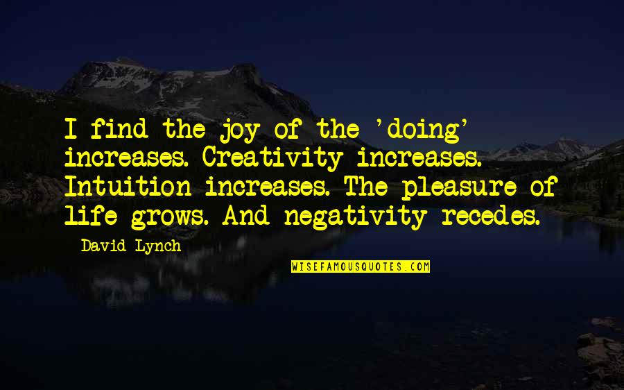 Commas To Set Off Quotes By David Lynch: I find the joy of the 'doing' increases.