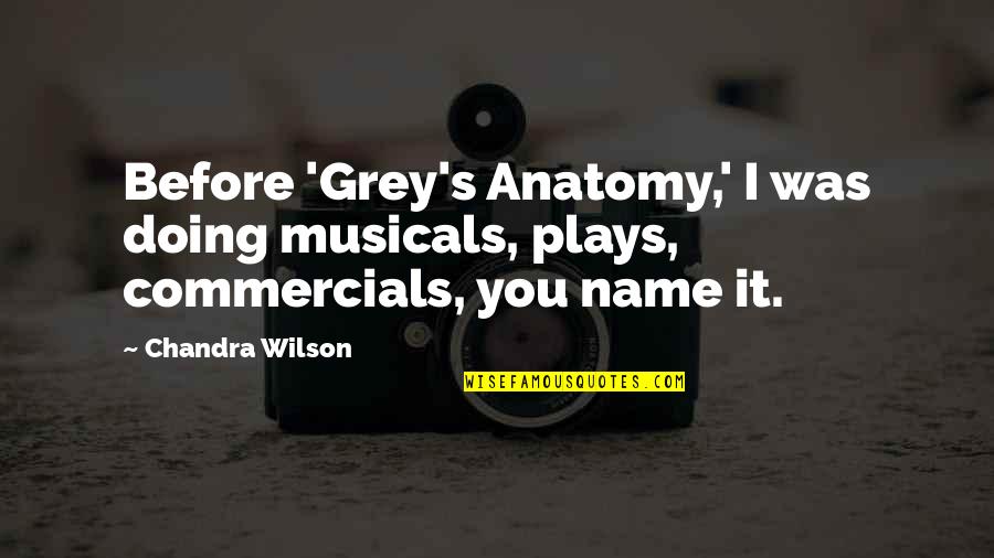 Commercials Quotes By Chandra Wilson: Before 'Grey's Anatomy,' I was doing musicals, plays,