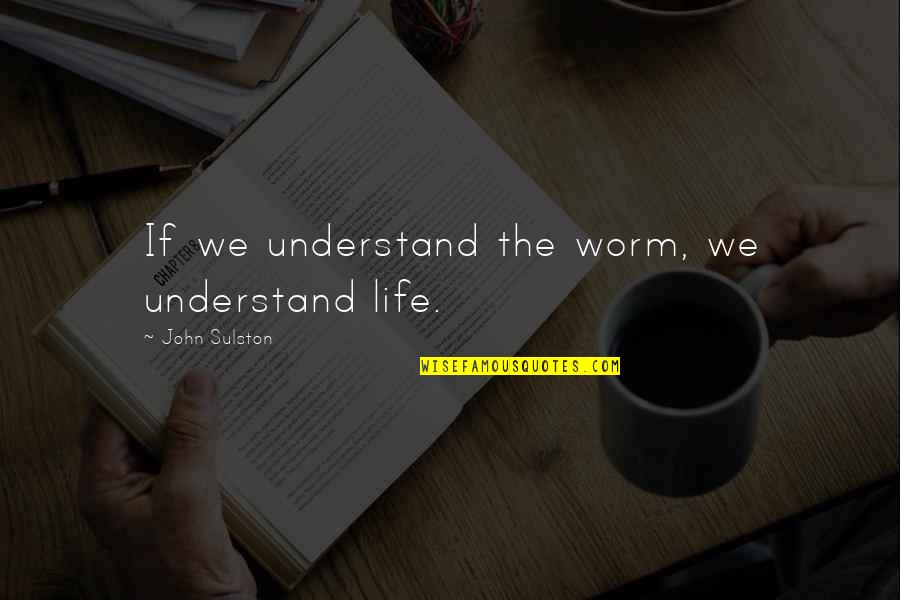 Commision Quotes By John Sulston: If we understand the worm, we understand life.
