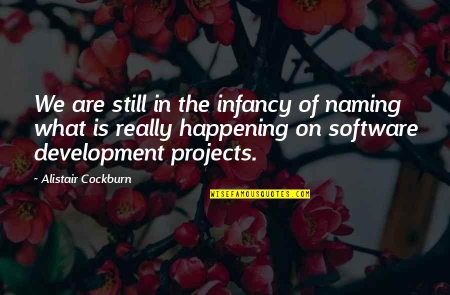Commissariat Quotes By Alistair Cockburn: We are still in the infancy of naming Commissariat Quotes By Alistair Cockburn: We are still in the infancy of naming