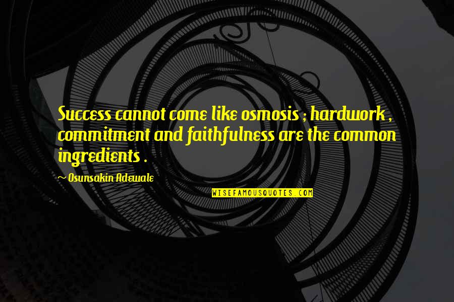 Commitment And Success Quotes By Osunsakin Adewale: Success cannot come like osmosis ; hardwork ,