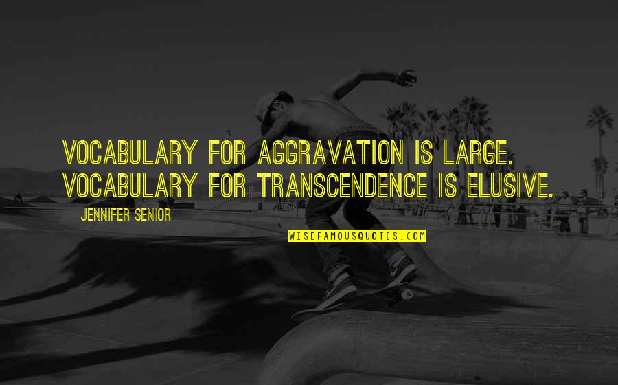 Commitment To A Team Quotes By Jennifer Senior: Vocabulary for aggravation is large. Vocabulary for transcendence