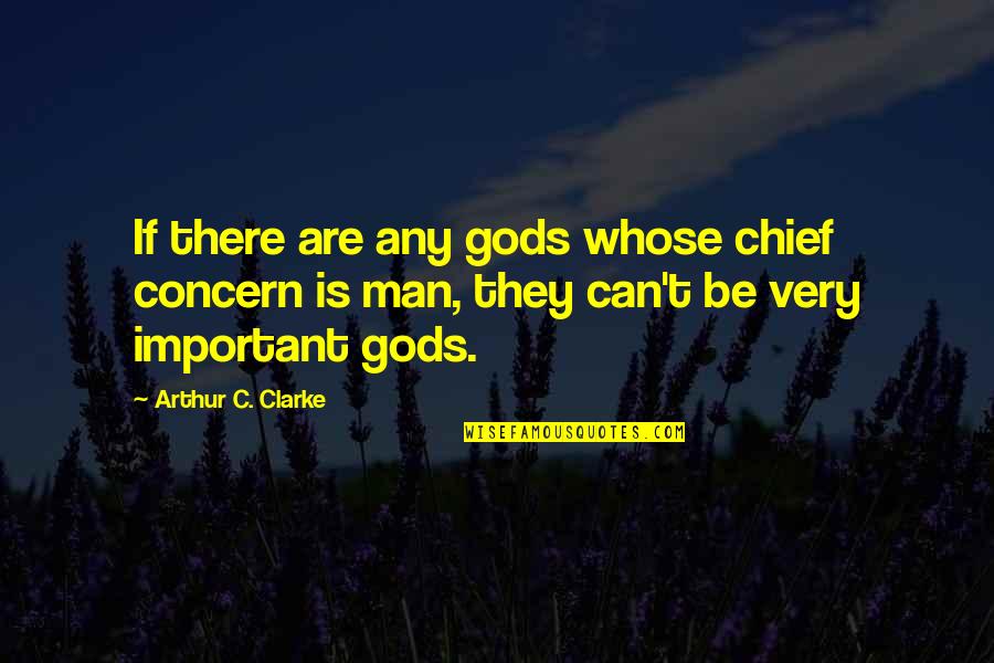 Commitment To Serve Quotes By Arthur C. Clarke: If there are any gods whose chief concern