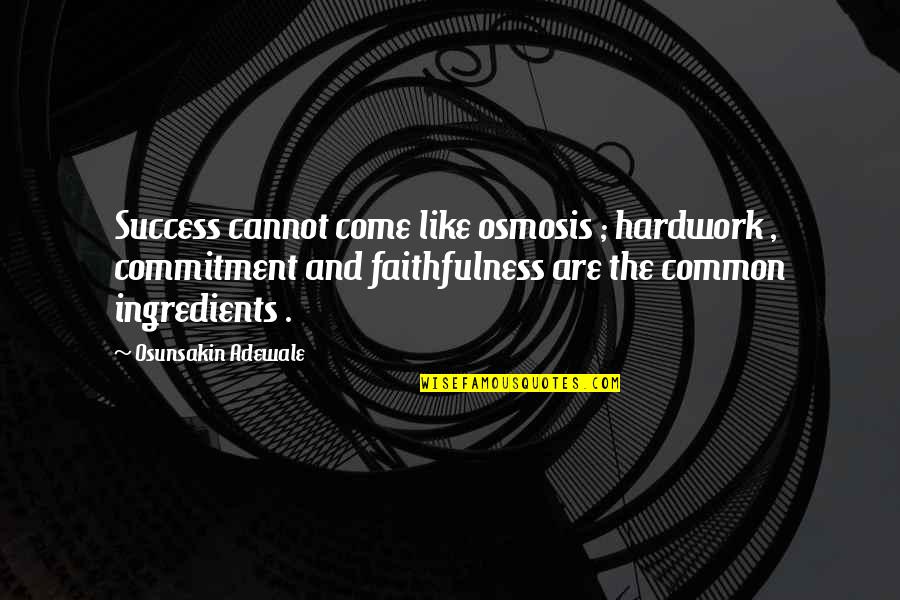 Commitment To Success Quotes By Osunsakin Adewale: Success cannot come like osmosis ; hardwork ,