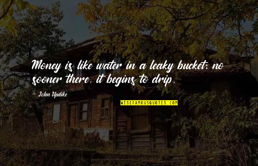 Commitmentment Marriage Quotes By John Updike: Money is like water in a leaky bucket: